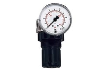 Riegler 101304 Régulateur de pression d'eau Manomètre G 1/4 0,2-6 bar