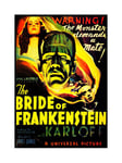 Wee Blue Coo Film Bride Frankenstein Karloff Horror Whale Frame Art Print Picture F12X534