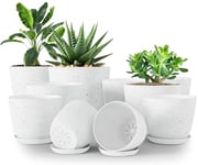 Utopia Home Lot de 10 Pots de Fleurs d'intérieur avec Drainage – Pots de Fleurs d'intérieur en Plastique pour Plantes d'intérieur, Cactus, Plantes Grasses (Gris à Pois)