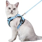 rabbitgoo Harnais Chat Anti évasion avec Laisse Bleu Clair M, Harnais Chaton Petit Chien Réglable, Collier Harnais et Laisses pour Chat Refléchissant Attache Dessus Gilet Respirant pour Lapin Chiot