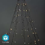 Nedis SmartLife Julelys | Tre | Wi-Fi | Varm til avkjølt hvitt | 200 LED s | 20.0 m | 10 x 2 m | Android™ / IOS