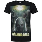 T-shirt The Walking Dead  NS4661