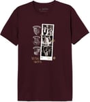 Harry Potter MEHAPOMTS415 T-Shirt, Burgundy, 3XL Homme