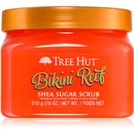 Tree Hut Bikini Reef sokerikuorinta vartalolle 510 g