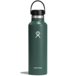 HYDROFLASK 21 Oz Standard Flex Cap Vert Unique 2024