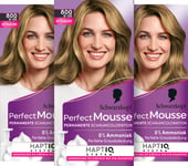 Schwarzkopf Perfect Mousse Coloration mousse permanente 800/8-00 Blond moyen (93 ml) - Coloration pour cheveux avec couverture parfaite des cheveux blancs - Coloration pour un soin intense et une