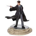 Wizarding World Of Harry Potter Tom Riddle Figurine