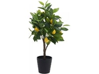 Home Decoration Sitron Tree Kunstig Plante I Potte, Sitrontre, 70 Cm