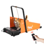 VEVOR Tapis de Marche de Course Électrique pour Chiens de Taille Moyenne 90 kg