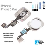 NEW iPhone 6 Complete Home Button Replacement Flex Cable with Tools - SILVER