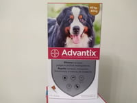 ADVANTIX¹ 600 chien protection puce tique Flea Treatment 40-60 kg boite 4 unites