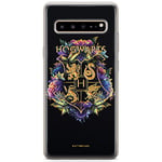 ERT GROUP Coque de Protection pour Samsung S10 5G - Motif Harry Potter 020 - Parfaitement adaptée à la Forme du téléphone Portable - en TPU