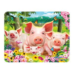 3D LiveLife Magnet - Pig Pen from Deluxebase. Lenticular 3D Farm Fridge Magnet. Magnetic decor for kids and adults with artwork licensed from renowned artist, Michael Searle