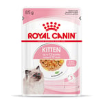 Royal Canin Kitten hyytelössä - 48 x 85 g