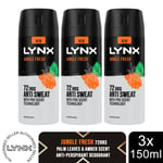 Lynx 72H Anti-Perspirant Deodorant Gold, Black or Jungle Fresh 150ml, 3 Pack