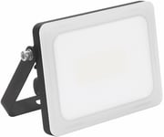 LED Strålkastare Ignis IP65 10-50W