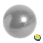 Balansboll, Yogaboll med Pump Grey 55Cm