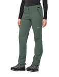 Jack Wolfskin Women's Activate Xt Hiking Trousers, Hedge Green, 46 (EU)