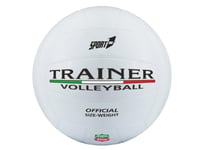 Beach Volleyball ''Trainer''