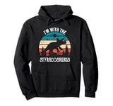 I'm With The Dinosaur Styracosaurus, Retro Dino Gifts Kids Pullover Hoodie