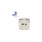 Base de données RJ11 + RJ45 Blanc 56x56mm GSC 000201016