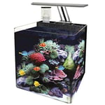 Ocean Free Marine Nano Aquarium Reef Aquarium panoramique Cube avec Filtre lumière LED & Protéines Écumoire