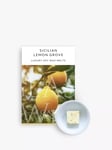 Glass & Wick Sicilian Lemon Grove Wax Melts, Pack of 6