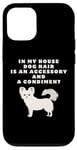 Coque pour iPhone 13 Pro Accessoire et condiment amusant pour les amoureux des chiens Chihuahua