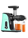 AMZCHEF GM3001-GN slow speed juicer (green)