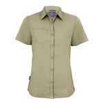 Craghoppers Womens/Ladies Expert Kiwi Short-Sleeved Shirt (Pebble Brown) - Brown/Green - Size 10 UK