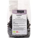 Biogan Tranbär Sötad M. Äppelkonc. EKO - 500 g