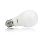 Vision-el - Ampoule led E27 6W Bulb Miidex Lighting® blanc-froid-6000k - non-dimmable