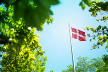 Denmark flag Danish flag waving in the wind between trees