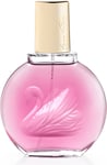 Gloria Vanderbilt Minuit Ã  New York Eau de Perfum Spray Perfume for Women, 100