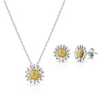 Daisy Set by Philip Jones