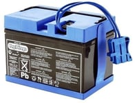 Batterie 12 Volts 12 Ah pour véhicules Peg-Pérego IAKB0036