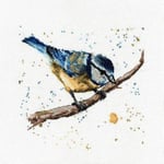 My Cross Stitch Bree Merryn - Counted Kit - Betty The Blue Tit,8"x8"