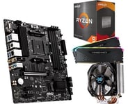 AMD Ryzen 5 5600X 3.7 GHz + MSI B550M PRO-VDH WIFI + Corsair Vengeance RGB RS DDR4 3600MHz 2x8GB (CMG16GX4M2D3600C18) + Zalman CNPS9X OPTIMA CPU Cooler