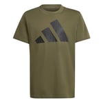 adidas Unisex Kids Essentials Big Logo T-Shirt, Olive strata/Black, 11-12 Years