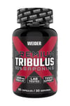 Weider - Premium Tribulus - 90 caps