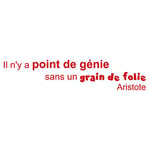 StickHappy TCA0002-rouge foncé-100x22 Stickers citation grain de folie Rouge Foncé 100 x 22 x 0,1 cm