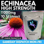 Echinacea 200 Tablets 1000mg 10:1 High Strength Purpurea Extract Supplement