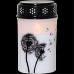 LED Gravljus Dandelion med timer, 12cm