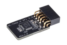 GIGABYTE GC-TPM2.0 SPI 2.0 - Trusted Platform Module (TPM) 2.0