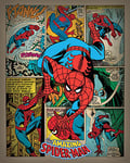 Marvel AFWDC94595 Toile Imprimée, Multicolore, 40 x 50 cm