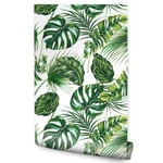 Papier Peint Intissé Décoration Exotique Feuilles Monstera Pour Salon