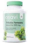 Osavi - Tribulus Terrestris, Saponins, 200 mg - 180 vcaps