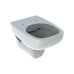 Geberit cuvette suspendu à la chasse Rimfree Fantasia blanc brillant - Con copri wc Standard