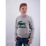 Sweat-shirt enfant Lacoste  -