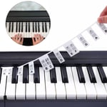 Avtagbara Etiketter för Piano / Keyboard - 61 tangenter